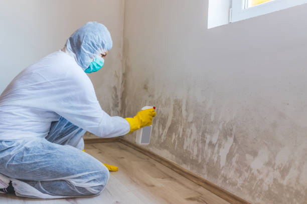 Hvac And Air Duct Mold Remediation inspection of HVAC system in Myersville