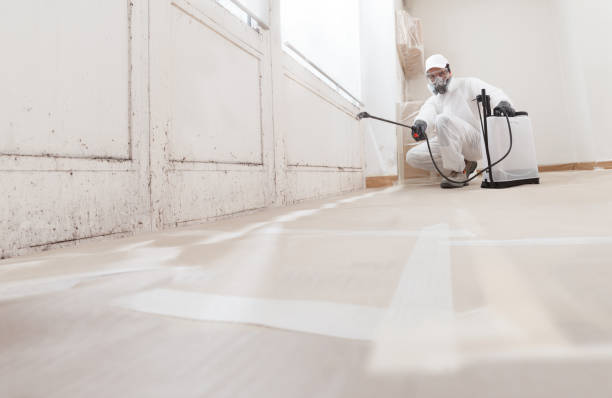 Black mold remediation team in Myersville